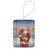 Redbone Coonhound with Santa Claus Porcelain Ornament Christmas Tree Hanging Decorations for Home Christmas Holiday, Rectangle, Gift, Multicolor