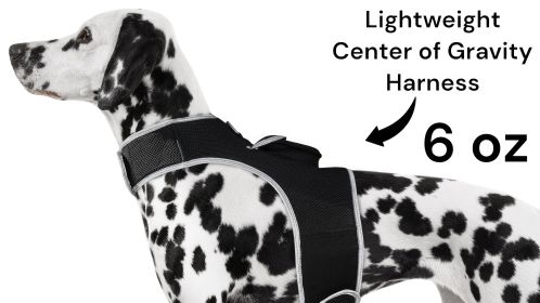 NEW Rechargeable Mini Cat Dog Tracker Collar Mount GSM GPS Pet Locator Size:S
