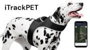 Mini Pet Tracker Collar Mount for Lost Pet Dog & Cat w/ SMS Reporting Size:S