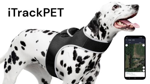 Mini Pet Tracker Collar Mount for Lost Pet Dog & Cat w/ SMS Reporting Size:S