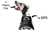 Wireless Pet Location Tracker Waterproof GPS Collars for Dogs Portable Size:M