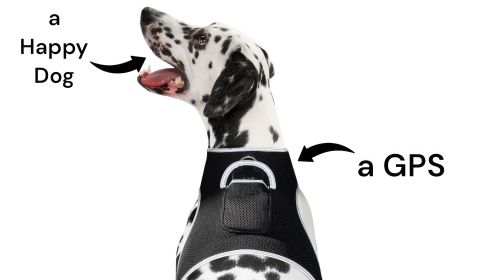Wireless Pet Location Tracker Waterproof GPS Collars for Dogs Portable Size:M