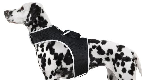 Get Accurate Pet Locations w/ Pet Tracker Realtime Dog Collar GPS Tracker Size:XXL