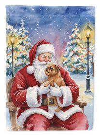 Brussels Griffon with Santa Claus House Flag Large Porch Sleeve Pole Decorative Outside Yard Banner Artwork Wall Hanging, Polyester, House Size