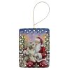 Bearded Collie with Santa Claus Porcelain Ornament Christmas Tree Hanging Decorations for Home Christmas Holiday, Rectangle, Gift, Multicolor