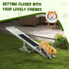 White Wood Pet Seesaw Dog Agility Training Equipment for Obedience Training Weather Resistant Outdoor Fun