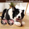 Dog Chew Toys for Aggressive Chewers - Indestructible Fish Bone Toys, Durable Entertainment for Medium/Large Breed Dogs