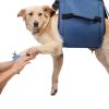 Adjustable Pet Traction Rope Rehabilitation Chest Strap