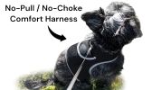 Mini Pet Tracker Collar Mount for Lost Pet Dog & Cat w/ SMS Reporting Size:S