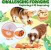 Dog Toys for Aggressive Chewers 2 Pack Dog Toys