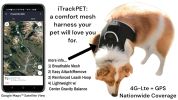 Wireless Pet Location Tracker Waterproof GPS Collars for Dogs Portable Size:M