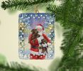 Chocolate Labrador Retriever with Santa Claus Porcelain Ornament Christmas Tree Hanging Decorations for Home Christmas Holiday, Rectangle, Gift