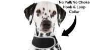 NEW Rechargeable Mini Cat Dog Tracker Collar Mount GSM GPS Pet Locator Size:S
