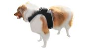 Mini Realtime Tracking Device GPS Collars for Dogs Waterproof Tracker Size:S