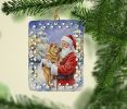 Shar Pei with Santa Claus Porcelain Ornament Christmas Tree Hanging Decorations for Home Christmas Holiday, Rectangle, Gift, Multicolor