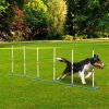 Dog Outdoor Exercise Training Set