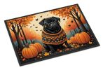 Fall Doormat Front Door Mat Indoor Outdoor Rugs for Entryway, Non Slip Washable Low Pile, 18H X 27W