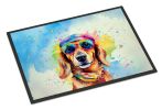 Hippie Dawg Doormat Front Door Mat Indoor Outdoor Rugs for Entryway, Non Slip Washable Low Pile, 24H X 36W