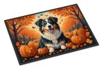 Fall Doormat Front Door Mat Indoor Outdoor Rugs for Entryway, Non Slip Washable Low Pile, 24H X 36W