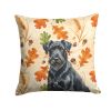 Fall Throw Pillow Decorative Indoor Outdoor Accent Cushion for Couch, Bed or Patio, 14Hx14W
