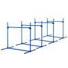 Dog agility training equipment