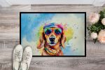 Hippie Dawg Doormat Front Door Mat Indoor Outdoor Rugs for Entryway, Non Slip Washable Low Pile, 24H X 36W