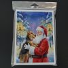 Santa Claus Greeting Cards Pack of 8 Blank Cards with Envelopes Whimsical A7 Size 5x7