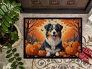 Fall Doormat Front Door Mat Indoor Outdoor Rugs for Entryway, Non Slip Washable Low Pile, 24H X 36W