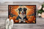 Fall Doormat Front Door Mat Indoor Outdoor Rugs for Entryway, Non Slip Washable Low Pile, 24H X 36W