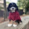 Soft Plush Pullover - Solid and Multi - Colored